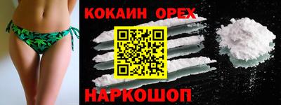 наркотики Гатчина