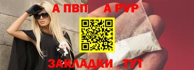 ешки Гай