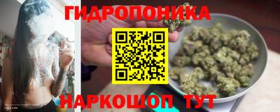 соль ск Гагарин