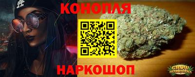 ешки Гай