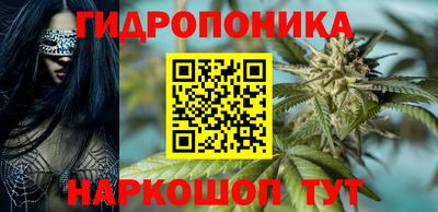 соль ск Гагарин