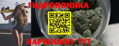 ешки Гай